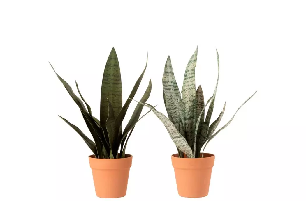 Kunstpflanze Sanseveria