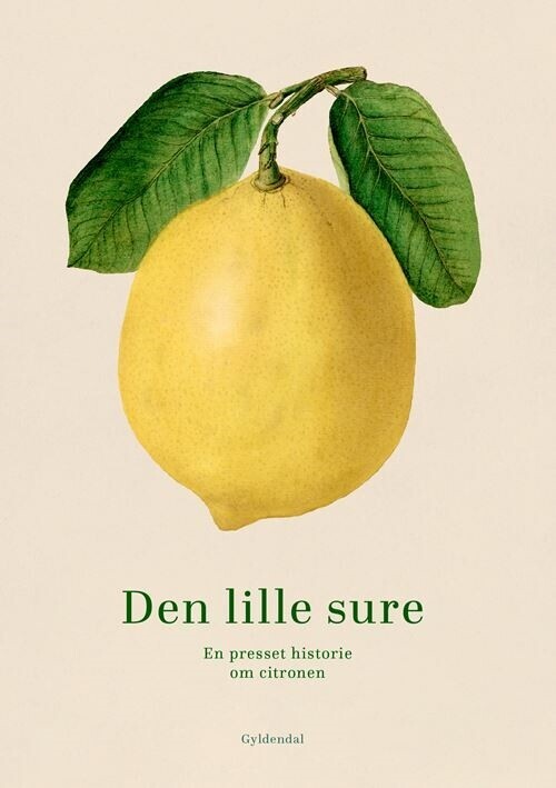 Den Lille Sure - Bog