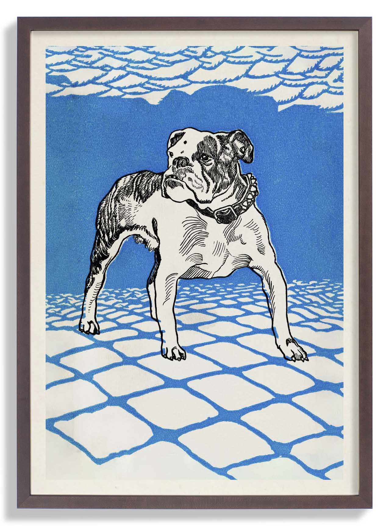 Bulldogge von Moritz Jung